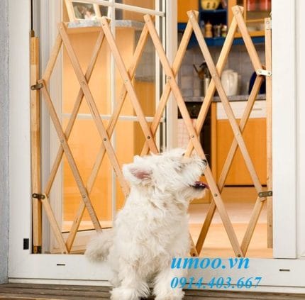 Chắn cửa coco bằng gỗ tự nhiên, dễ lắp đặt