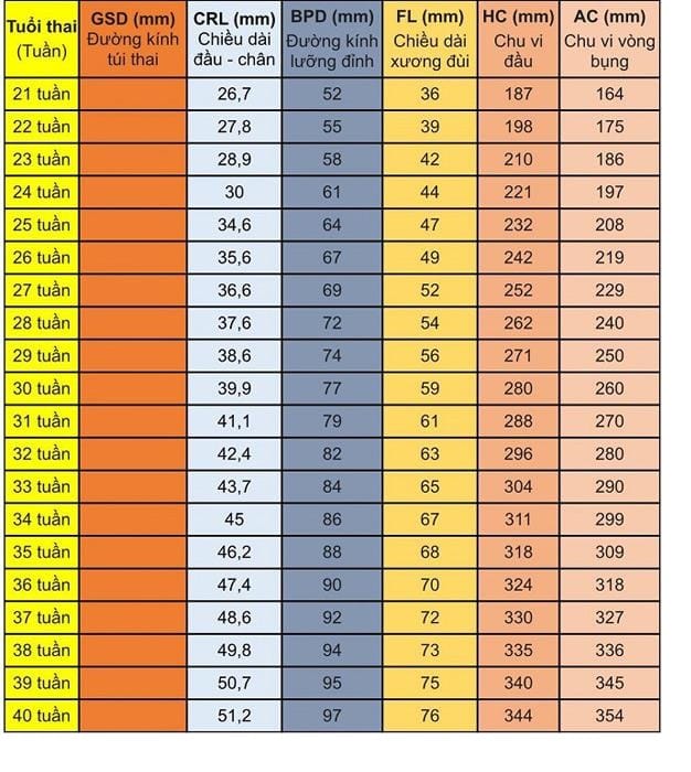 Chỉ số phát triển thai nhi theo tuần và bảng cân nặng thai nhi theo tuần