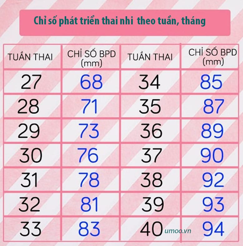 Chỉ số phát triển thai nhi theo tuần, tháng