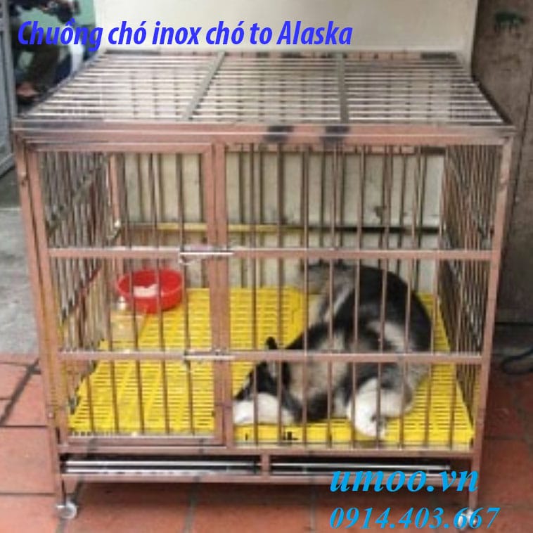 Chuồng chó inox tại Hà Nội, chuồng inox cho chó to