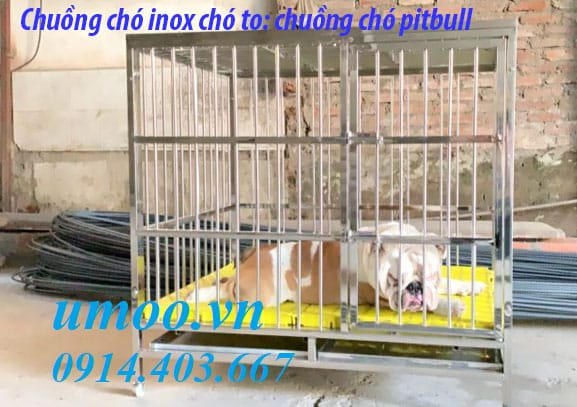 Chuồng chó inox tại Hà Nội, chuồng inox cho chó to