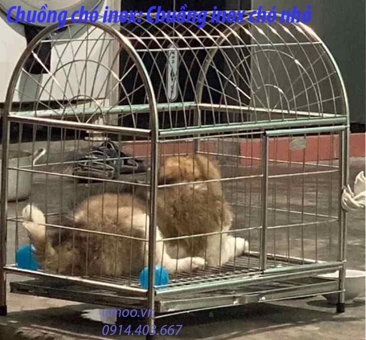 chuồng chó inox Hà Nội, chuồng inox chó nhỏ 5-15kg