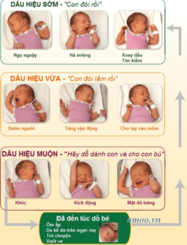 dau hieu nhan biet be doi 3 cap do 1 1
