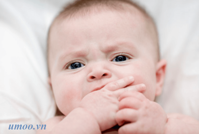 Dấu hiệu nhận biết bé đói - 3 cấp độ nhận biết bé sơ sinh đòi ti mẹ