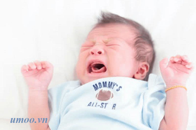 Dấu hiệu nhận biết bé đói - 3 cấp độ nhận biết bé sơ sinh đòi ti mẹ